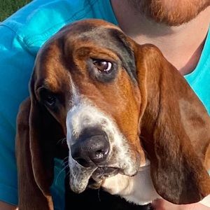 Meet your Posher, Will